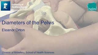 Diameters of the Pelvis [upl. by Fedak776]