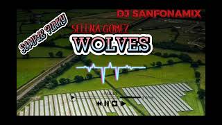 DJ WOLVES X SANFONAMIX  SIMPLE FUNKY REMIX  SELENA GOMEZ [upl. by Vinson]