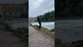 Michigan fall Salmon fishing bigfish fishing viral trending tippy dam [upl. by Yor513]