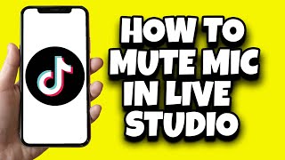 How To Mute Mic In TikTok Live Studio Easy [upl. by Bouldon]