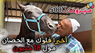 🚨بمناسبة 500K درنا فـلوك مع جميع الخيول الملكية لعندنا فالإسطابل 😱 وختاروا نتوما تعشيرة ديال 500K [upl. by Dode]