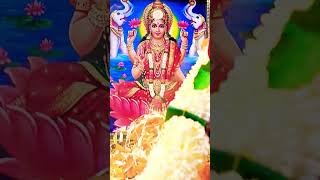 Om Jai Laxmi Mata🙏🌼🌿laxmipooja lakshminarayan lakshmi radhakrishna shortsfeed shorts youtube [upl. by Modla]