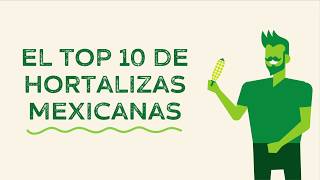 Top ten de Hortalizas mexicanas  HortalizasMX [upl. by Fiden]