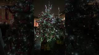 London Christmas Lights and Trees Oxford Street  Regent Street  Neal Street  Covent Garden [upl. by Bilac]