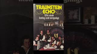 Traunstein Echo  Traunsteinblick Polka volksmusik  polka  oberkrainer  viral  shorts [upl. by Dnomse716]