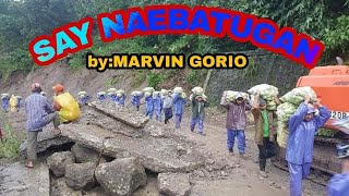 SAY NAIBATUGAN 𝙗𝙮 MARWIN GORIOIGOROT SONGFARMERS LIFE IN THE PHIL [upl. by Ulita]