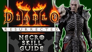 The Complete Guide to Necromancer Skills in Diablo 2 [upl. by Chad938]