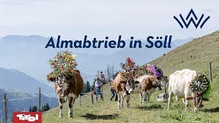 40 Jahre Almabtrieb in Söll [upl. by Edmon]