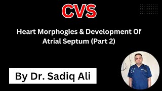 CVS  Heart Morphologies amp Development of Atrial Septum Part2 [upl. by Lehcin275]