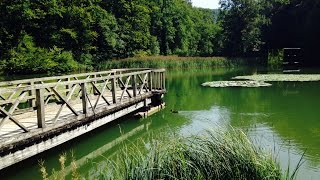 Baselland Tourismus  Ermitage Arlesheim [upl. by Annyahs]