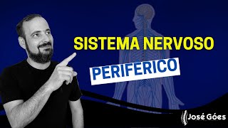 Sistema nervoso PERIFÉRICO  José Góes [upl. by Lenrad802]