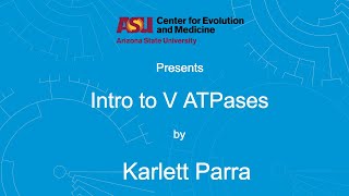 Intro to V ATPases  Karlett Parra [upl. by Godiva182]