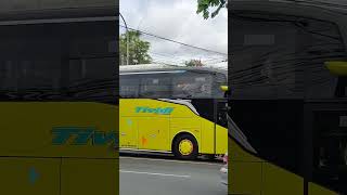 Bus tividi jogja jakarta [upl. by Adham]