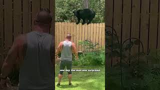 A bear family moved into the man’s home animals bear friendship shorts [upl. by Alfonse]