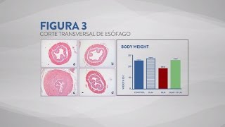 Tratamiento contra la esclerodermia  Resultados cientificos [upl. by Aelem467]