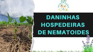 Plantas Daninhas Hospedeiras de Nematoides [upl. by Ainit]