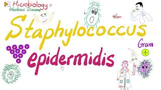 Staphylococcus epidermidis  Microbiology 🧫 amp Infectious Diseases 🦠 [upl. by Alverson700]