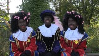 PROMO Het Alphens Sinterklaasjournaal 2014 [upl. by Sowell]