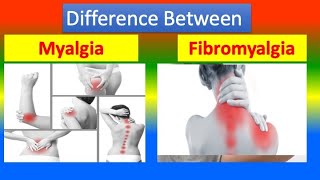 Distinction between Myalgia and Fibromyalgia [upl. by Imled]