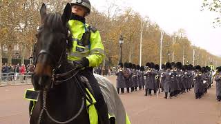 Band of the Honourable Artillery Company and 7 Company Coldstream Guards [upl. by Flo]