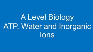 A level Biology ATP Water and Inorganic Ions [upl. by Gibun]