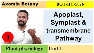 L3 apoplastsymplast and transmembrane Plant Physiology Dr Rajib BorahBsc Botany Axomia Botany [upl. by Llenyt948]