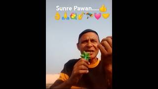 SUNRE PAVAN PAVANPURVAIYA SONG entertainmentbollywood song youtubeshort trending 💓💐🎷🪂🙏 [upl. by Prior660]