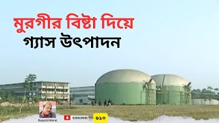 মুরগীর বিষ্টা দিয়ে  দেশের সবচেয়ে বড় বায়োগ্যাস প্লান্ট  largest biogas plant  Bayezid Morol [upl. by Norb]