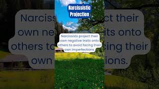 Narcissistic Projection Why They Blame You for Their Own Actions [upl. by Ellehsyt]