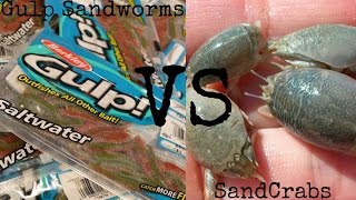 Fishing  Berkley Gulp Sandworm Vs Sand Crabs [upl. by Aninnaig]