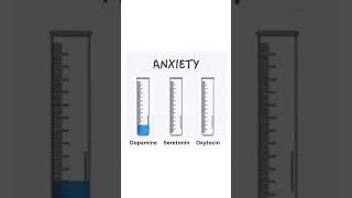 Neurotransmitters  Types of Neurotransmitter in Central Nervous System Anxiety  Happiness  Love [upl. by Hocker]