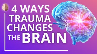 How Trauma and PTSD Change the Brain [upl. by Aw]