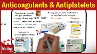 Pharmacology  Anticoagulants and Antiplatelet Drugs FROM A TO Z [upl. by Gelya]