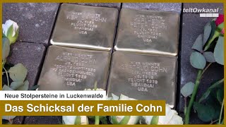 Das Schicksal der Familie Cohn  Neue Stolpersteine in Luckenwalde [upl. by Gladine]