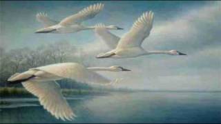 quotThe Wild Swans at Coolequot by WB Yeats read by Tom OBedlam [upl. by Weatherby]