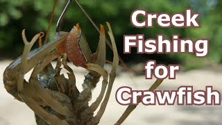 How to Catch Creek Crawfish  Crawdads with a Fishing Pole [upl. by Leoy]