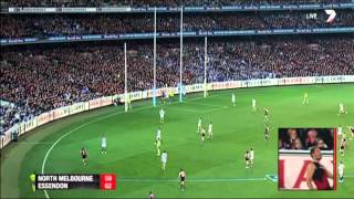 Elimination Final 2014  North Melbourne v Essendon Highlights [upl. by Ynaffik]