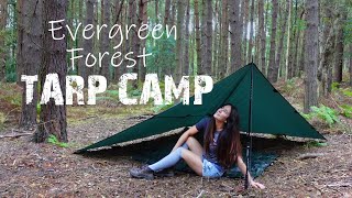 Stealthy Solo Tarp Camp in Evergreen Forest 🌲 Wild Camping UK [upl. by Fatma]