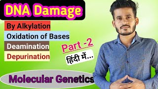 DNA Damage and Repair  Part 2  हिंदी में  MSc  CSIR NET  GATE [upl. by Hannaj400]