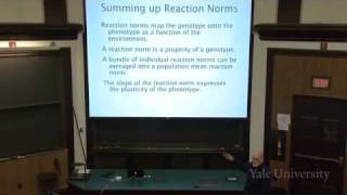 8 The Expression of Variation Reaction Norms [upl. by Seek]