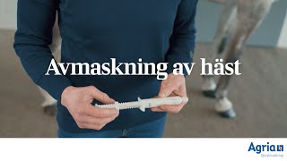 Avmaskning av häst [upl. by Robbin]