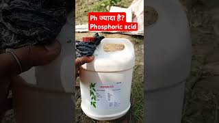 Use of phosphoric acid in ur field gaow sugarcane farming [upl. by Roeser]