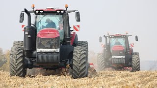 Two Case IH Magnum 380 CVX Rowtrac tilling in Controlled Traffic Farming with Horsch Terrano MX [upl. by Nylyahs]