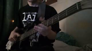 Primus  Eleven Bass Cover [upl. by Ahsekam]