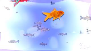 Jeu pour chat  poisson rouge Video pour les chats  game for cats  Cat  Game [upl. by Nnylakcaj]