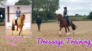 Dressage Training  prepping for British Dressage Elementary after injury [upl. by Eixela]