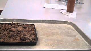 Simple wind erosion demonstration Part 1 [upl. by Bearce]