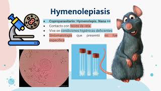Hymenolepis nana [upl. by Trip378]