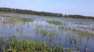 4A084 MiniAirboat Ride [upl. by Dietz12]