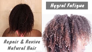 Hygral Fatigue  Natural Hair Damage  How To Prevent amp Fix [upl. by Lindbom]